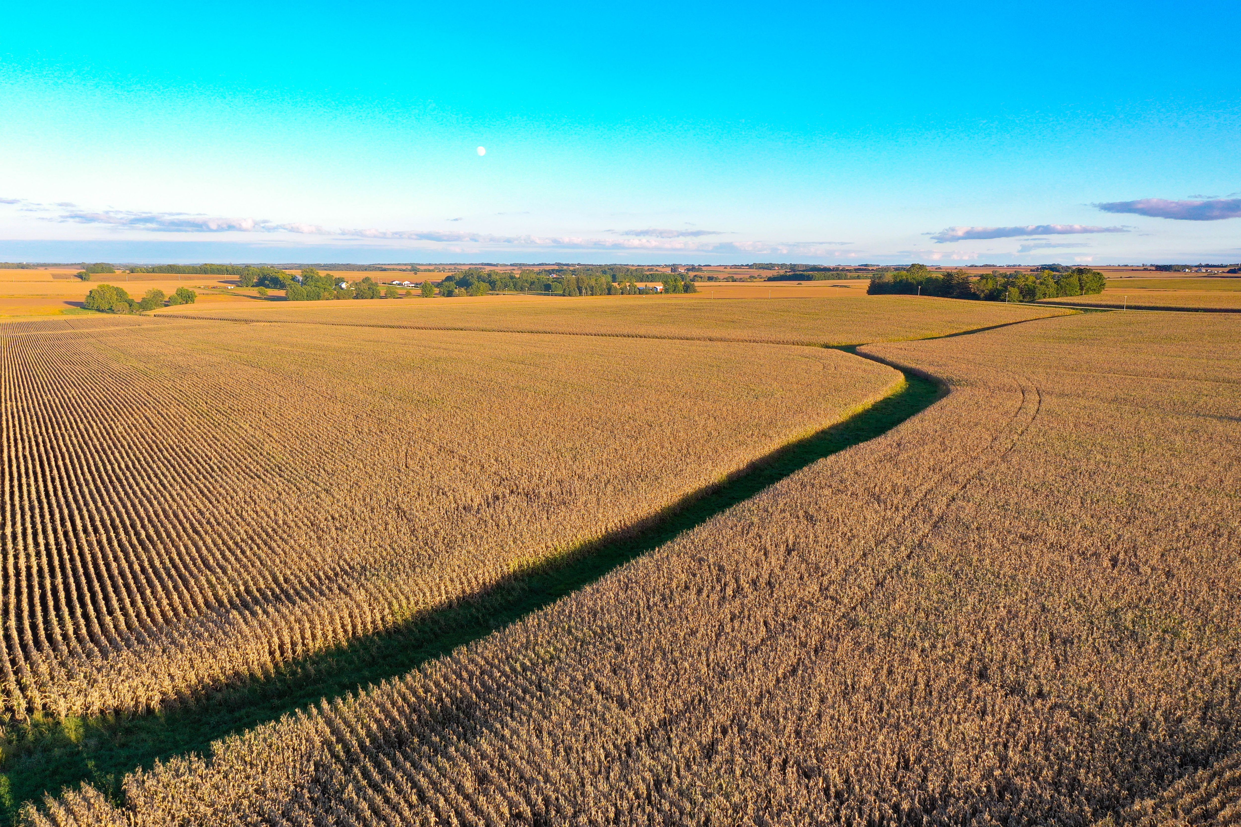 Listing Photo: 2-Butler County Land Auction